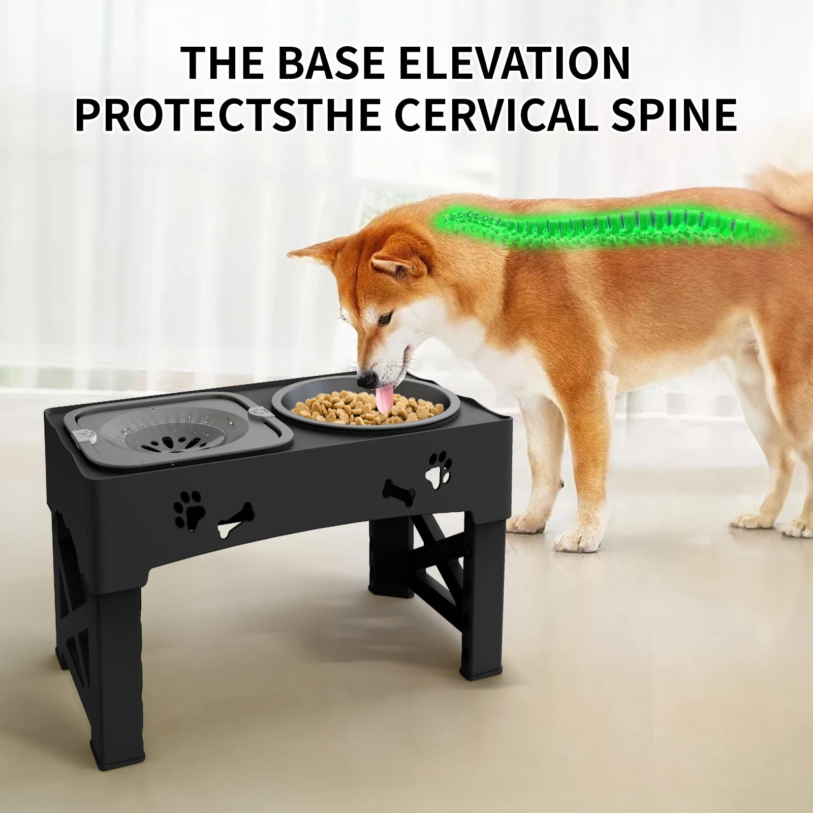 Adjustable Height Ergonomic Dual Pet Feeder