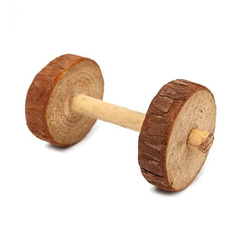 Natural Wooden Molar Toy Collection