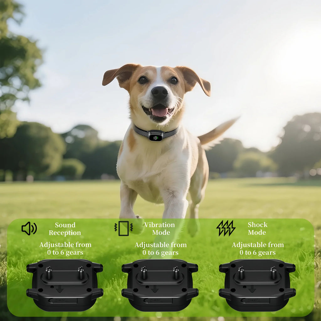 Remote Control Dual-Mode Dog Training Collar