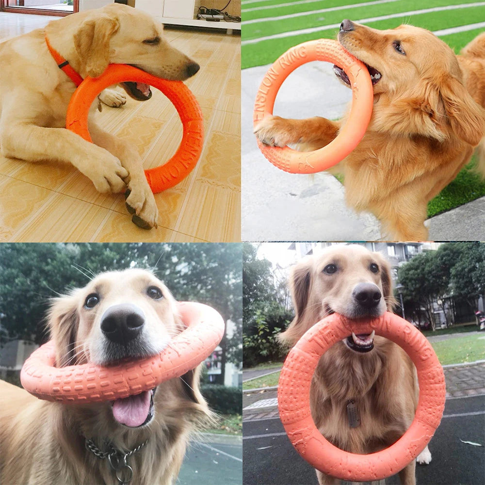Ultra-Resistant Ring Chew Toy for Dogs - Tug-of-War and Dental Cleaning