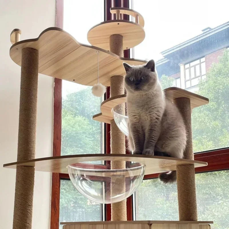 Modern Multi-Level Cat Tree with Observation Hammock