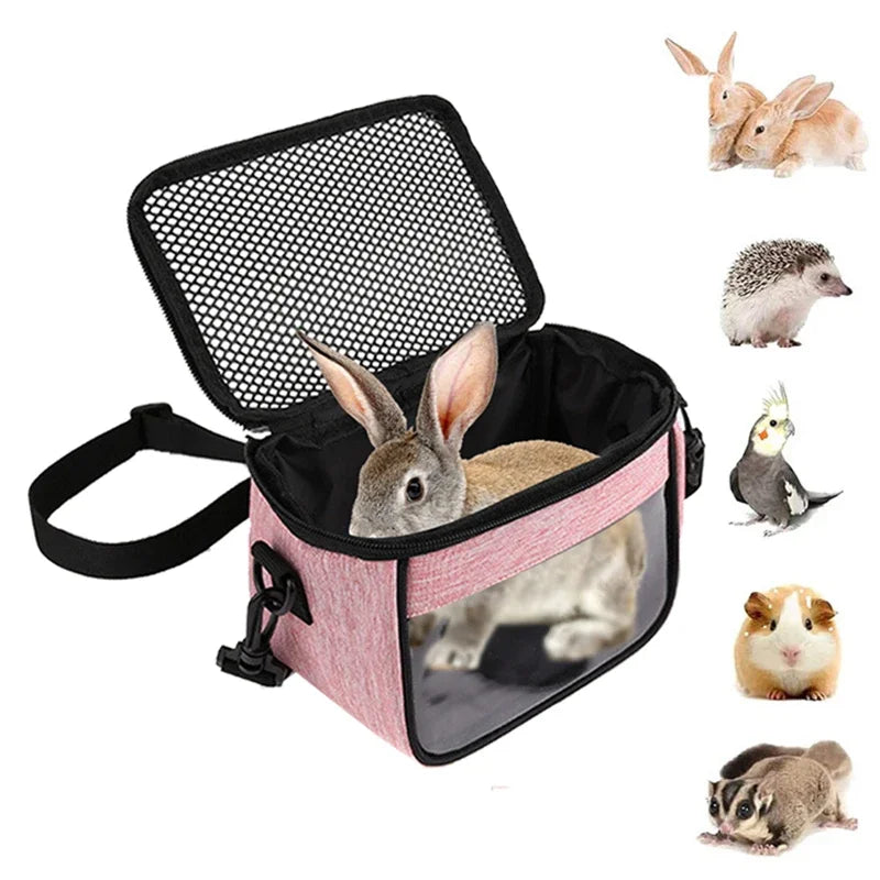 Panorama View Pet Carrier