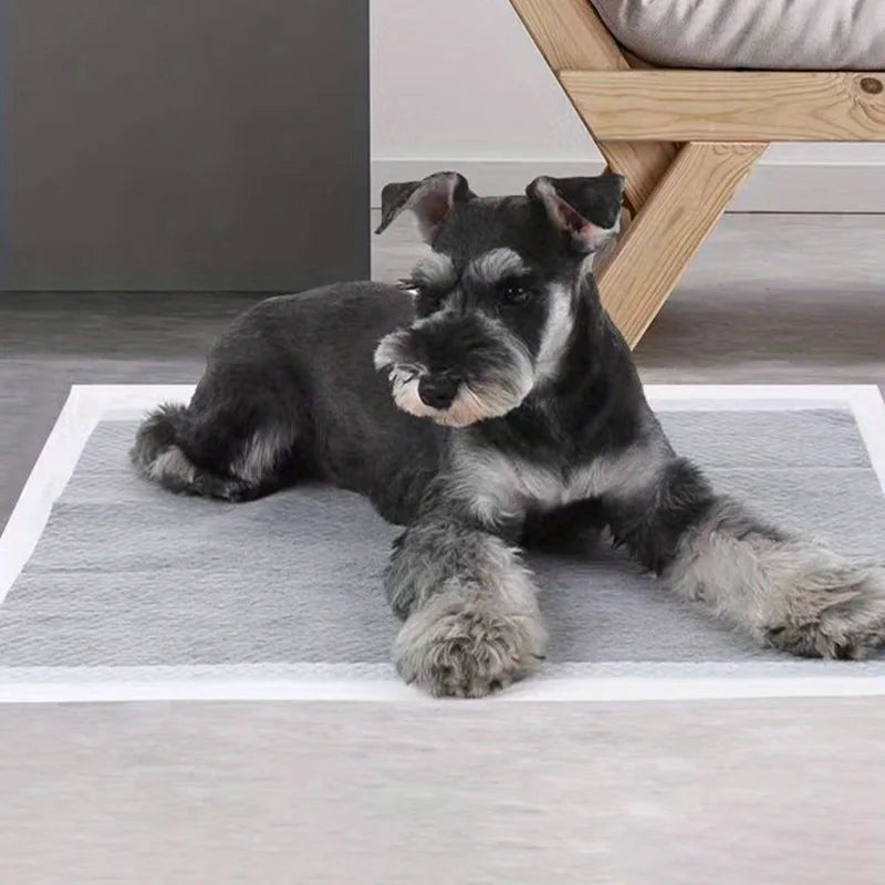 Bamboo Charcoal Odor Control Training Pads