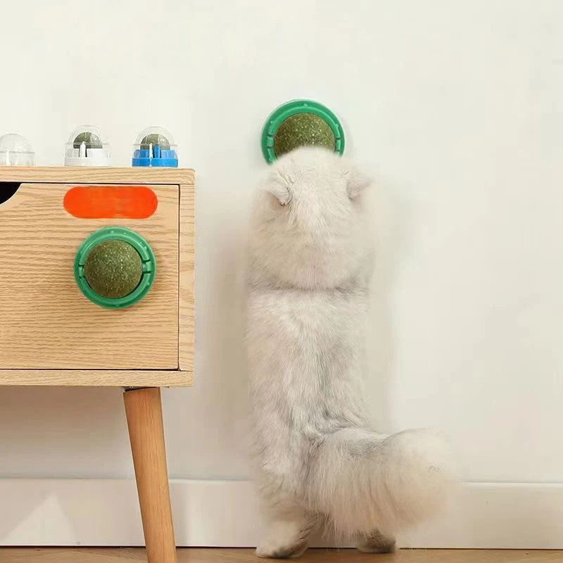 360° Rotatable Catnip for Cats - Adhesive Wall Mount and Oral Cleaning