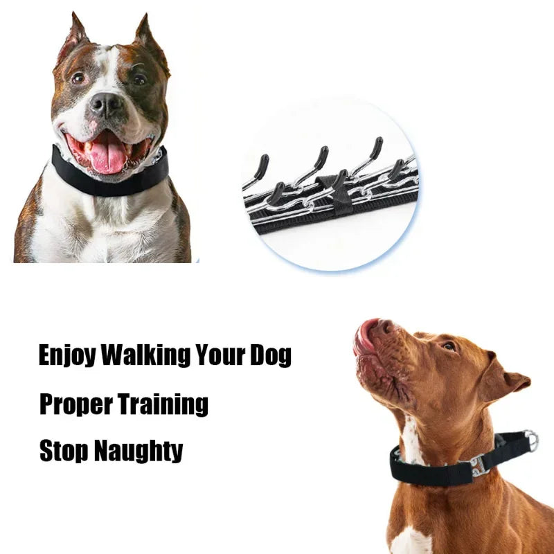 Safe-Correction Dog Prong Training Collar