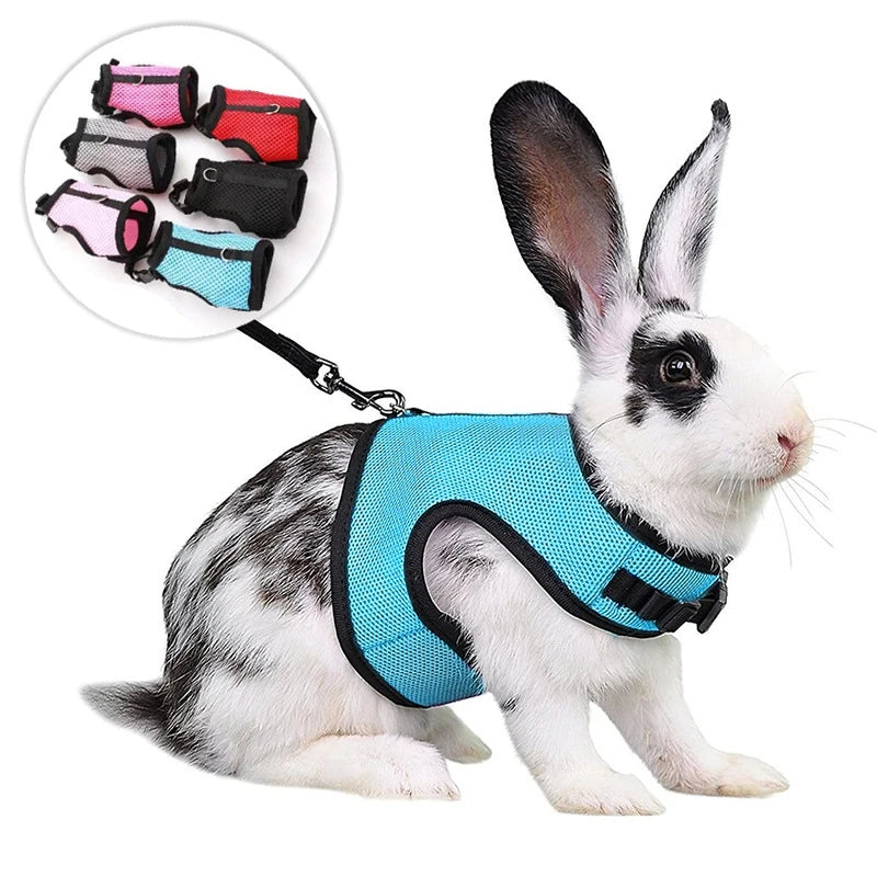 AirFlow Mesh Comfort Harness