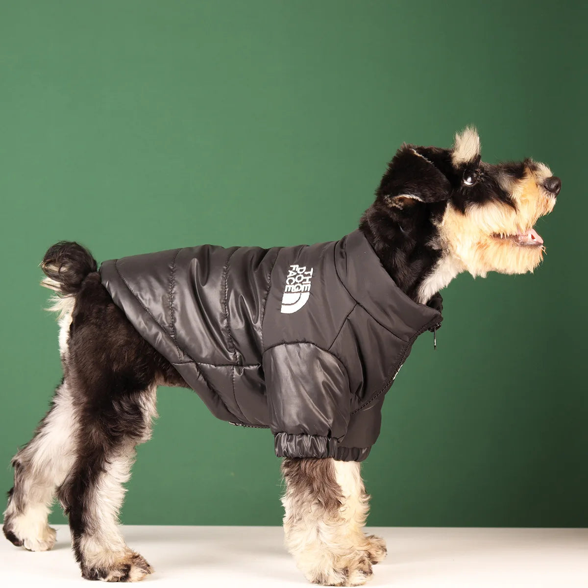 "The Dog Face" Two-Tone Puffer Jacket - Thermal Protection and Adventurous Style