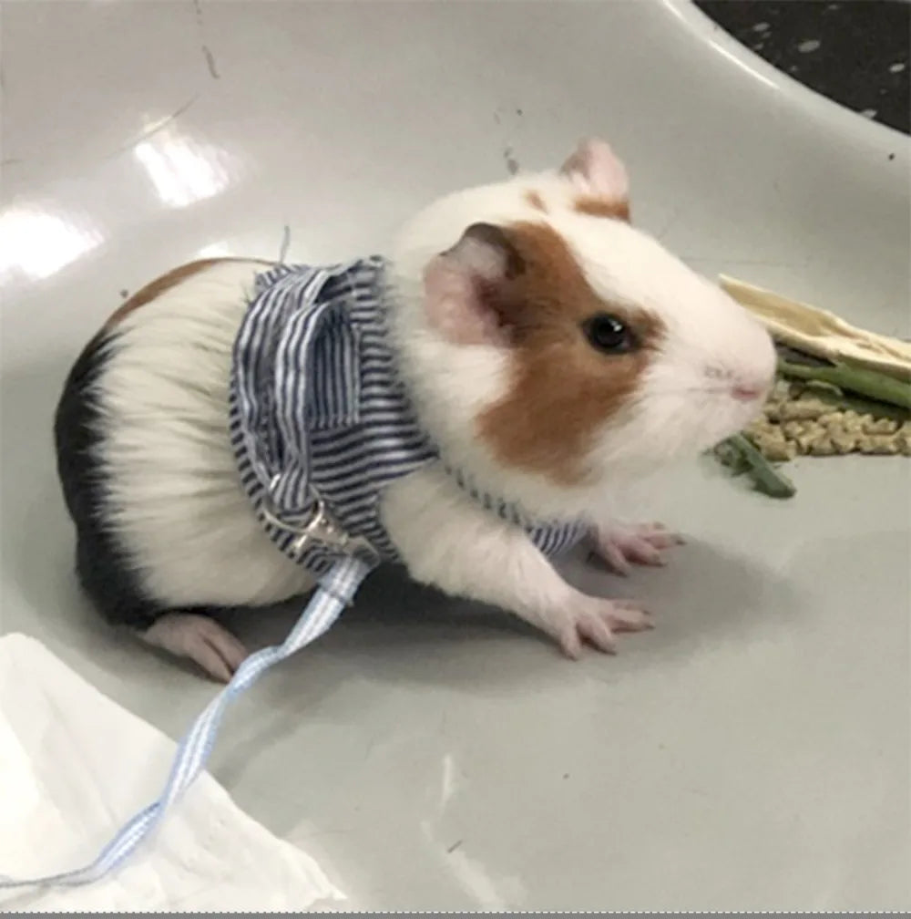 Sailor-Stripe Comfort Vest