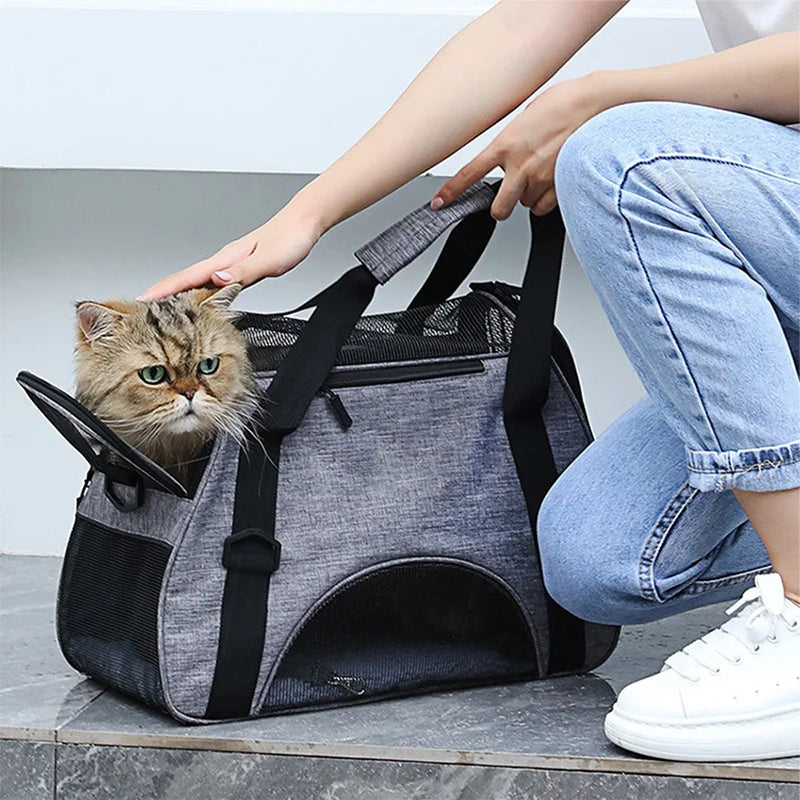 Multi-Mesh Comfort Pet Travel Tote