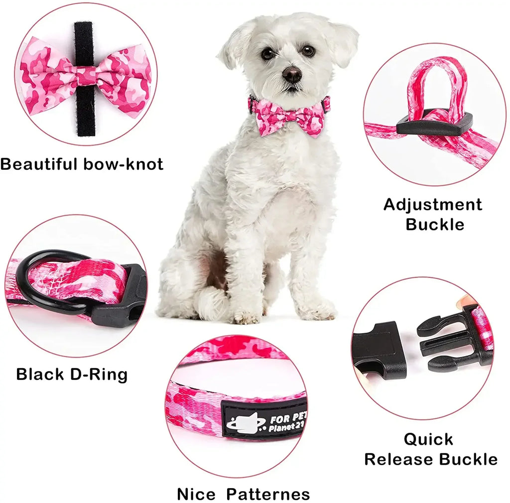 Ultimate 5-Piece Dog Accessory Set