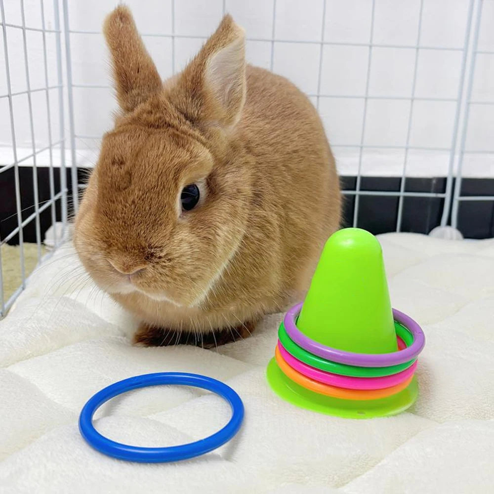Bunny Ring Toss Exercise Set