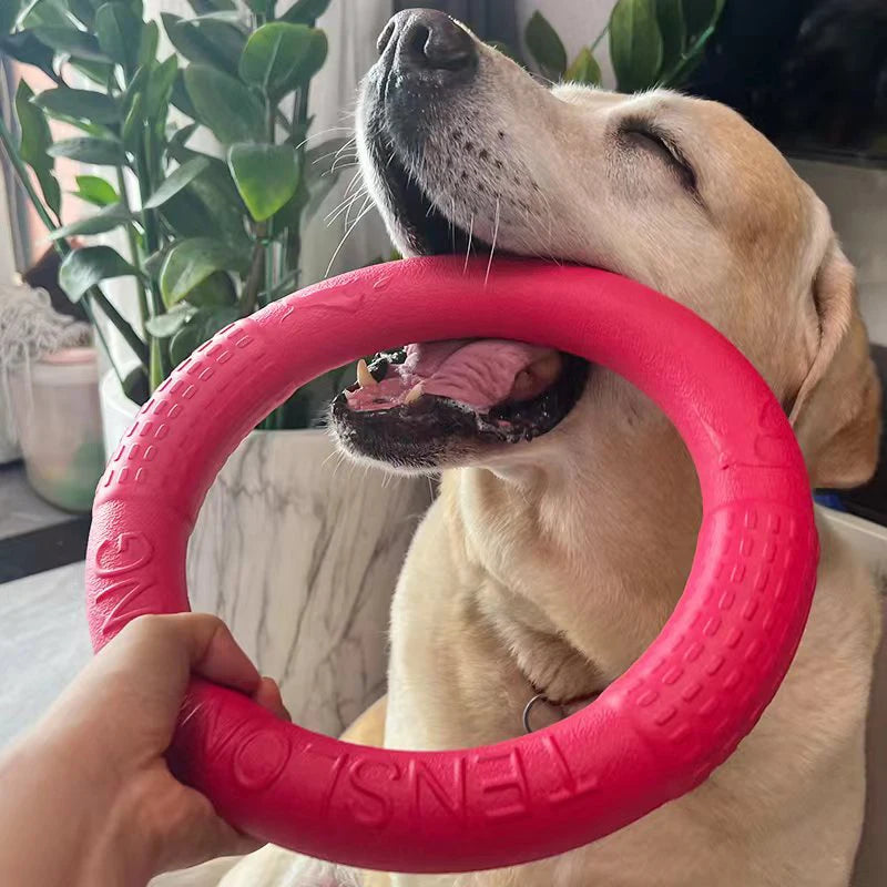 Ultra-Resistant Ring Chew Toy for Dogs - Tug-of-War and Dental Cleaning