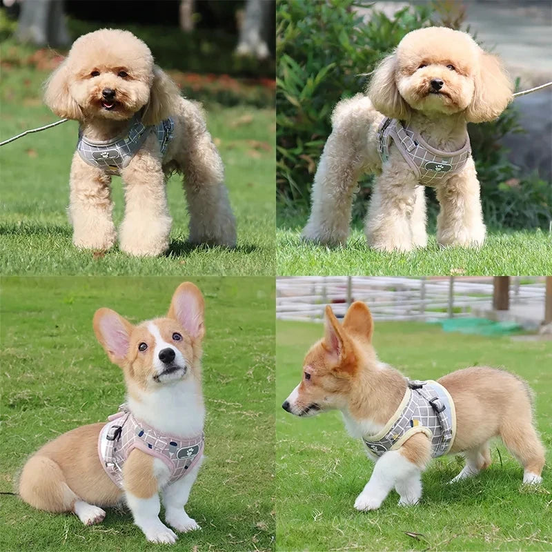 Classic Grid Pattern Comfort Harness & Leash Set