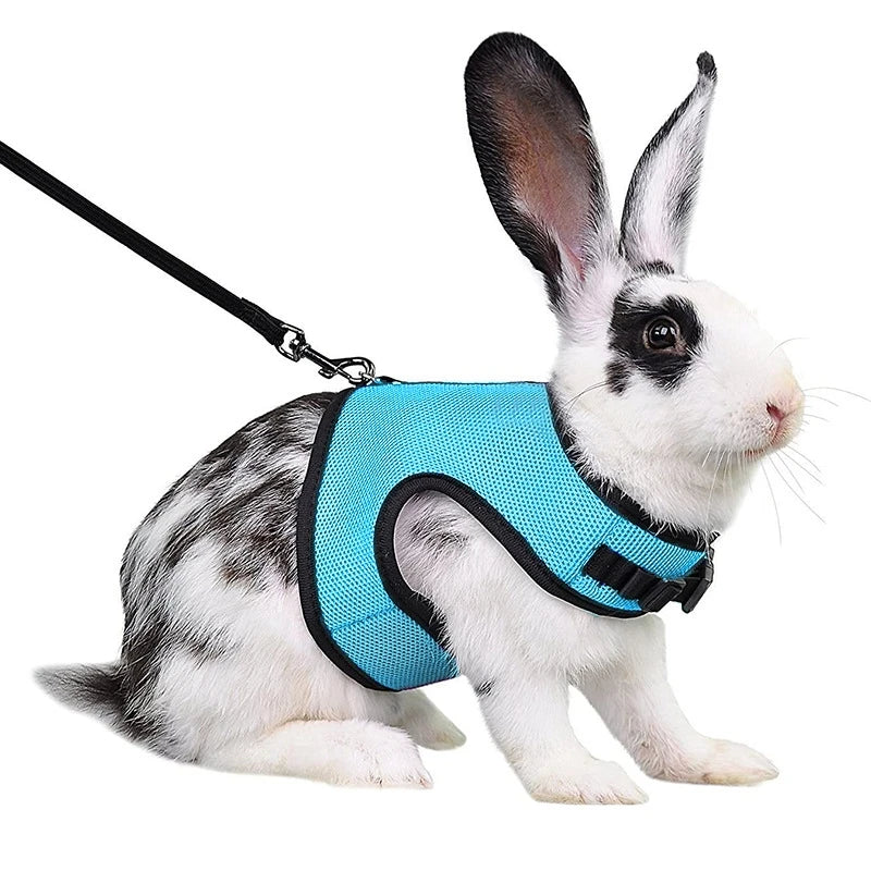 AirFlow Mesh Comfort Harness