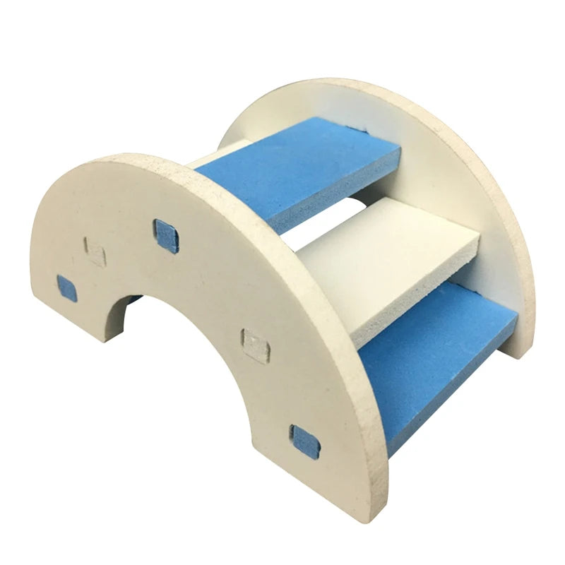 Rainbow Climb & Hide Bridge