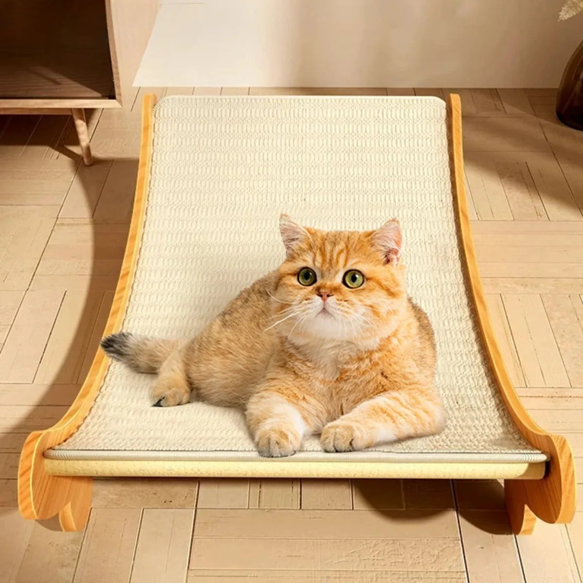 2-in-1 Curved Wooden Cat Scratcher and Lounger Bed