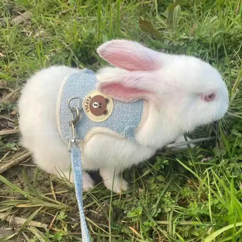 CuddleBear Casual Harness