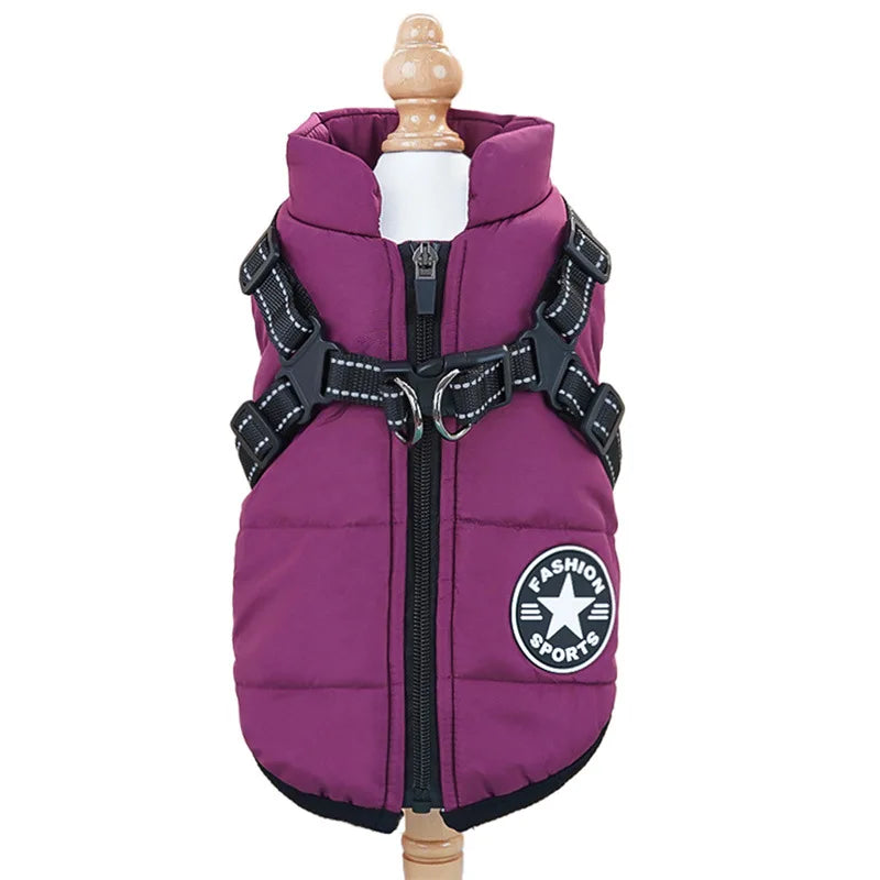 Waterproof Sport-Fashion Padded Coat with Integrated Harness