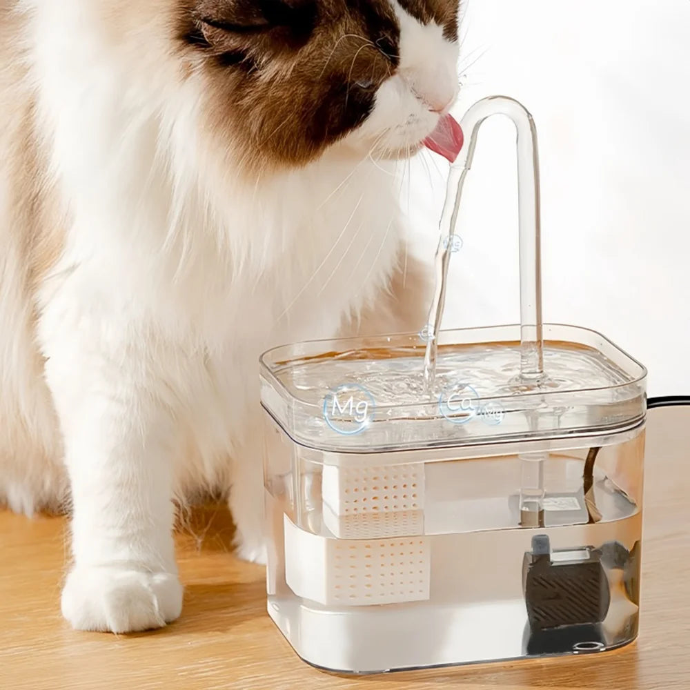Clear-Flow Electric Pet Drinking Fountain