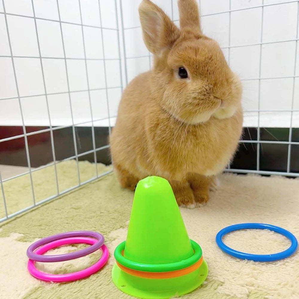Bunny Ring Toss Exercise Set