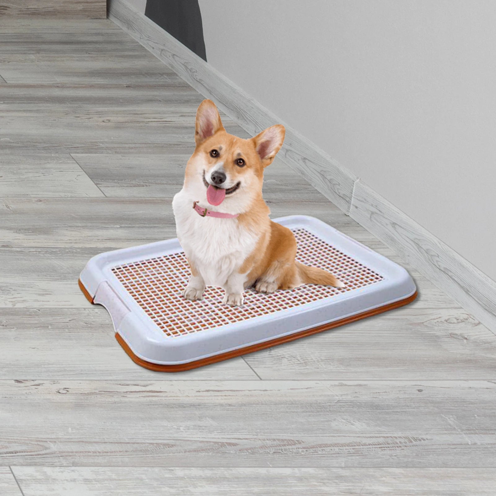 Simple Grate Pet Potty Training Tray