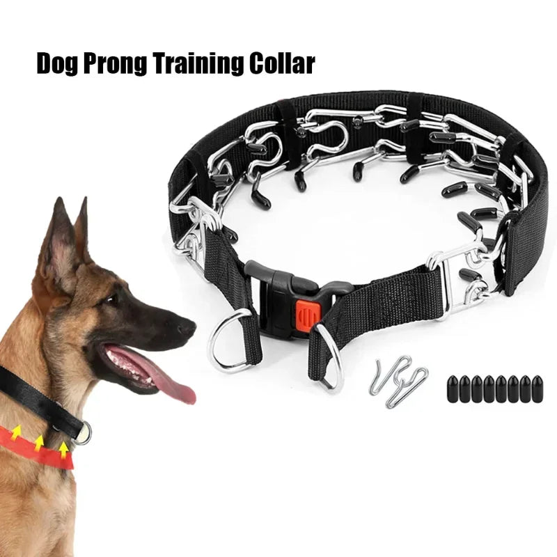 Safe-Correction Dog Prong Training Collar