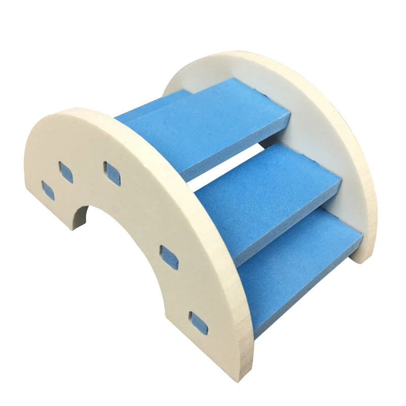 Rainbow Climb & Hide Bridge