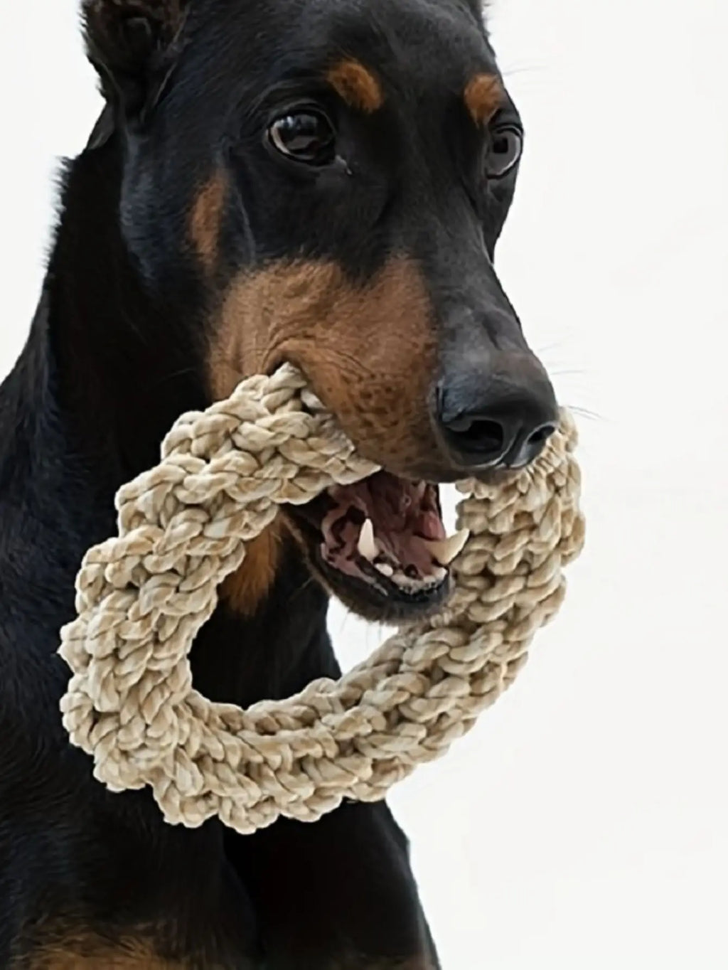 Braided Rope Dog Toy (Ring Shape) - Durability and Dental Cleaning