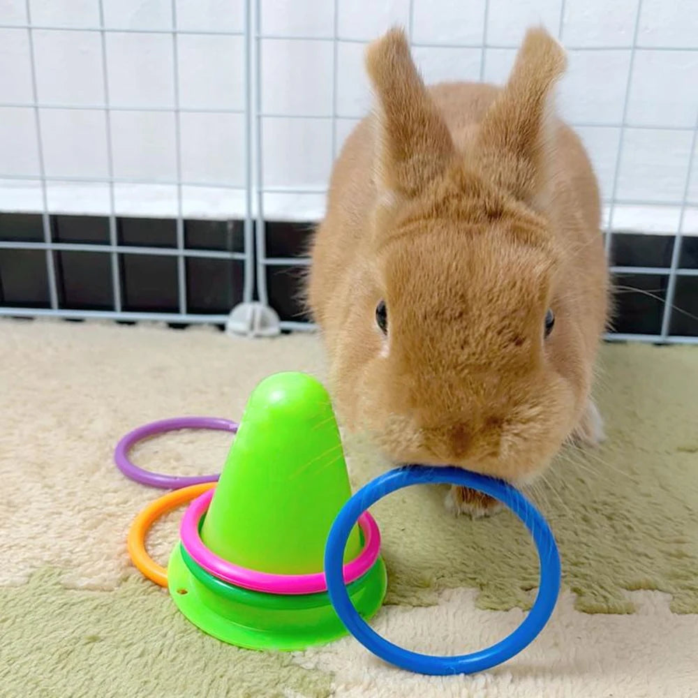 Bunny Ring Toss Exercise Set