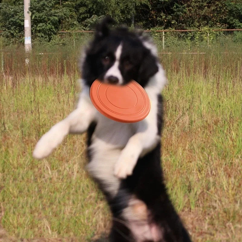 Flexible Silicone Flying Disc for Dogs - High-Performance Interactive Toy