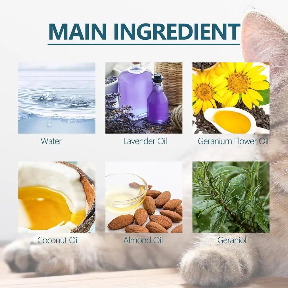 Spot On Cat Insect Repellent (50ml)