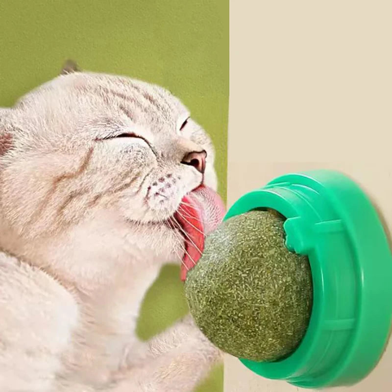 360° Rotatable Catnip for Cats - Adhesive Wall Mount and Oral Cleaning