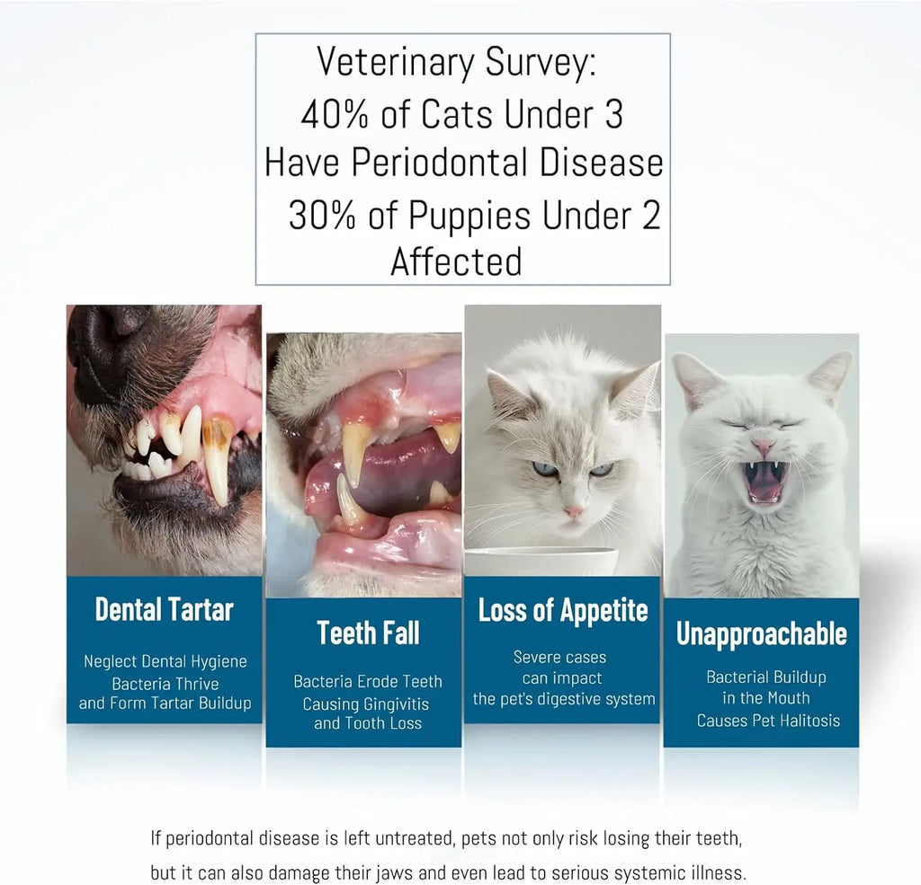 360° Rotating Bristle Non-Slip Handle Toothbrush