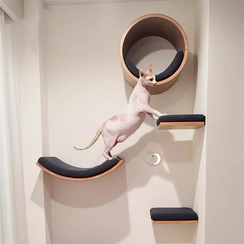 Modular Wall Mounted Cat Activity Furniture Collection