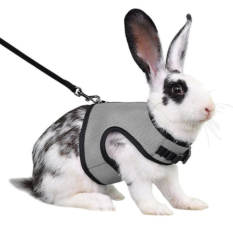 AirFlow Mesh Comfort Harness