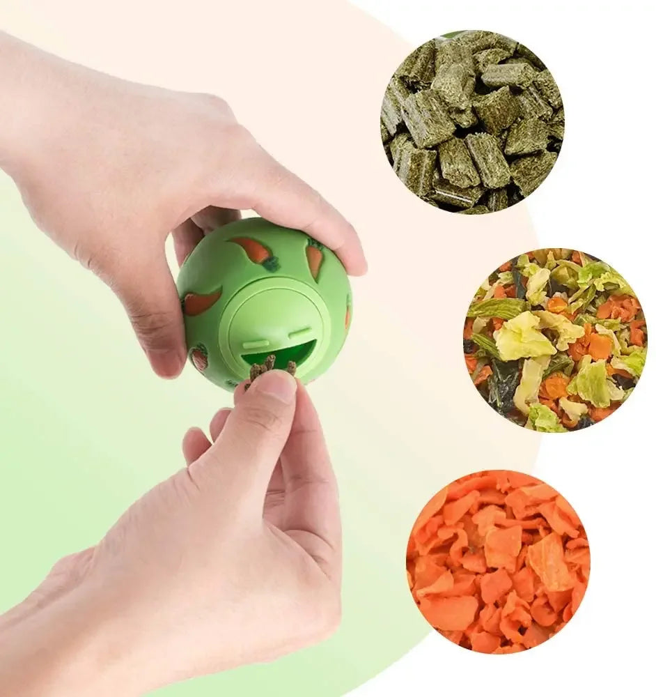 Carrot-Toss Treat Ball (Slow Feeder)