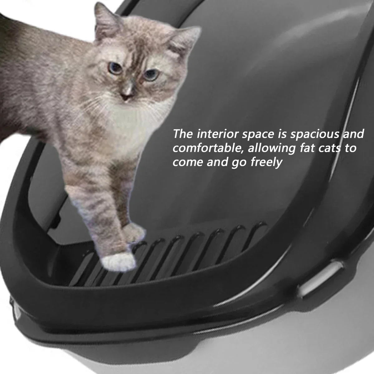 High-Sided Litter Box with Scoop for Mess Containment