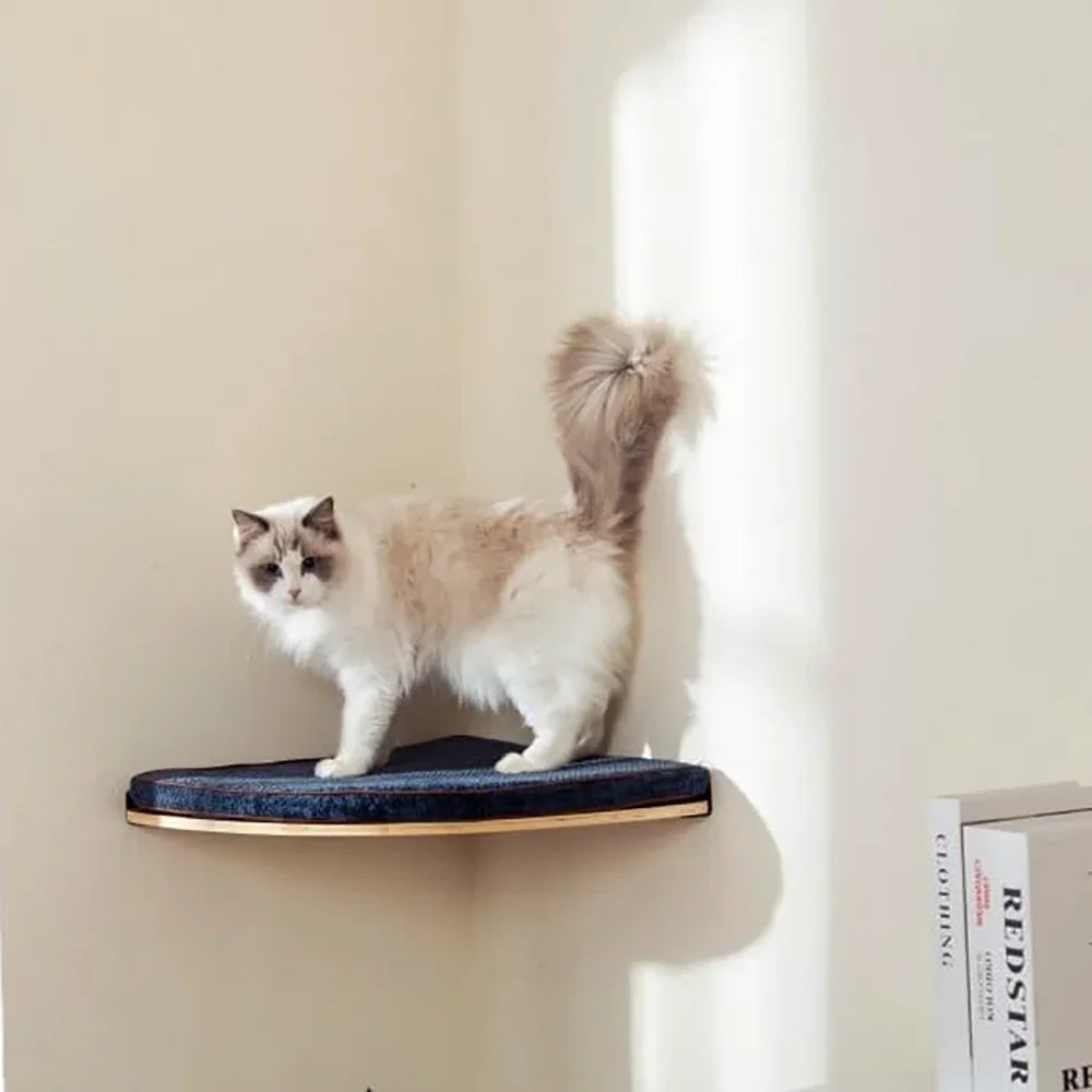 Modular Wall Mounted Cat Activity Furniture Collection