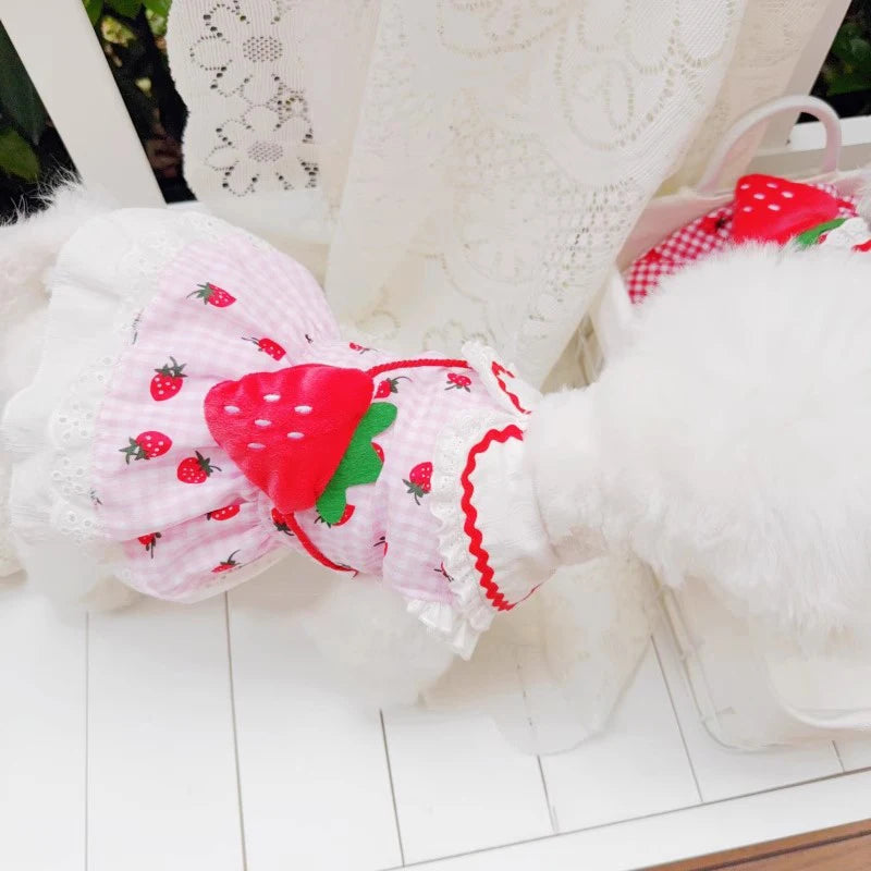 Strawberry Themed Pet Dress (Gingham and Lace) - Includes Accessory Bag