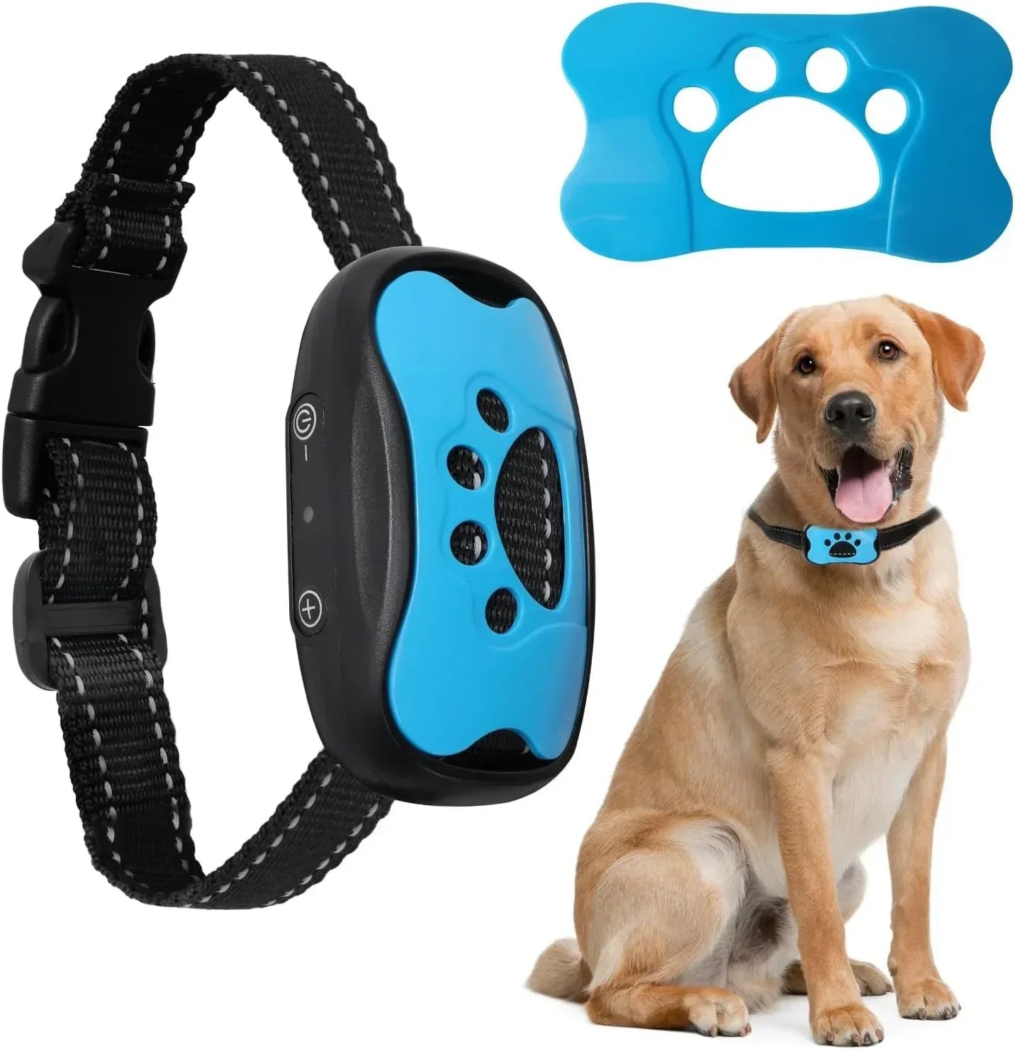 Pro-Grade 3-Mode Waterproof Rechargeable Training Collar