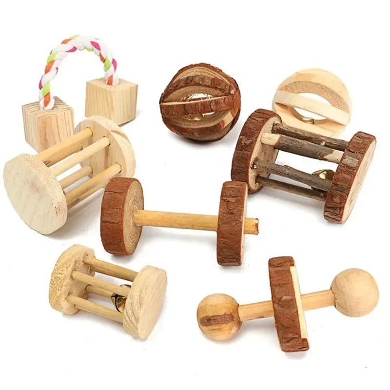 Natural Wooden Molar Toy Collection