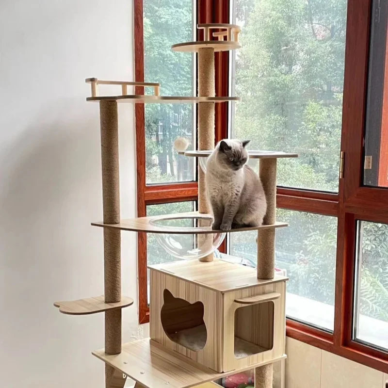 Modern Multi-Level Cat Tree with Observation Hammock