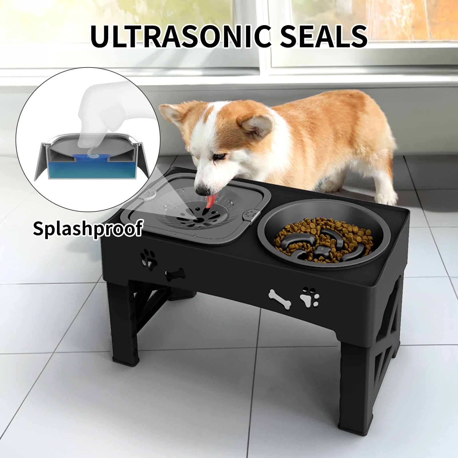 Adjustable Height Ergonomic Dual Pet Feeder