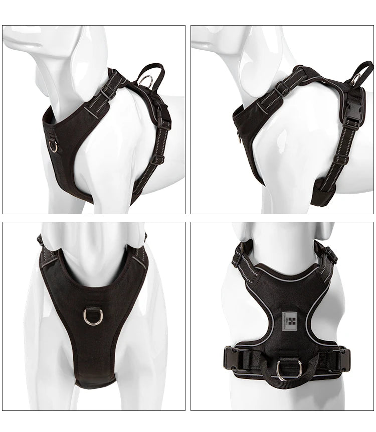 Pro-Grade Comfort and Control No-Pull Harness